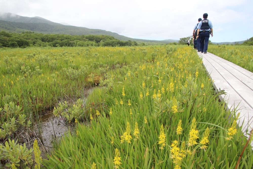 田代湿原をパトロール