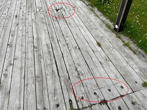 補修した湖畔歩道の写真