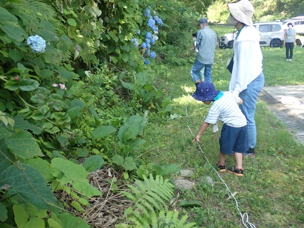 ネイチャーゲームのタイトルはカモフラージュ