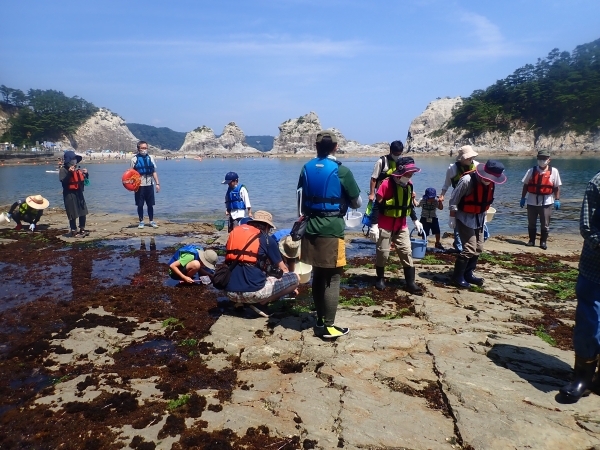 干潮になった磯場を観察しながら移動