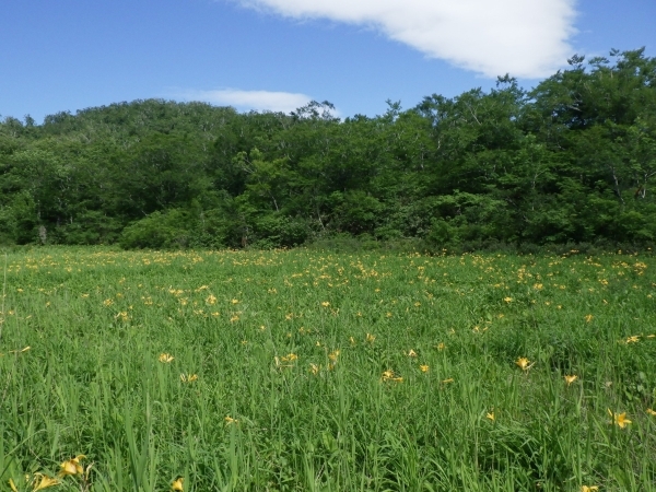 合同パトロール４