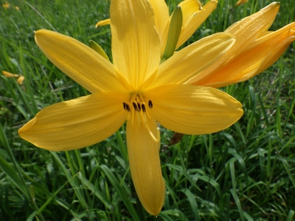 合同パトロール5