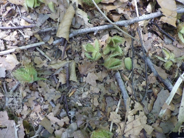 合同パトロール6