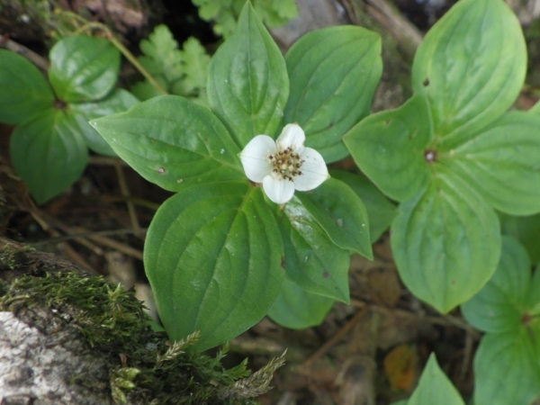 合同パトロール7