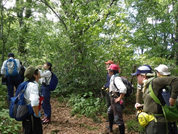 合同パトロール11