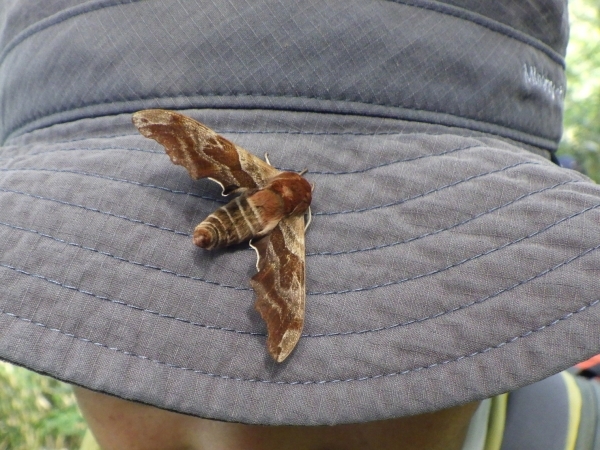 合同パトロール12