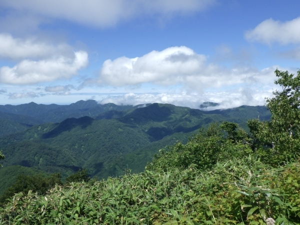 合同パトロール16