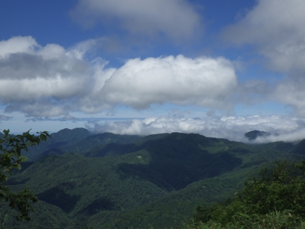 合同パトロール17