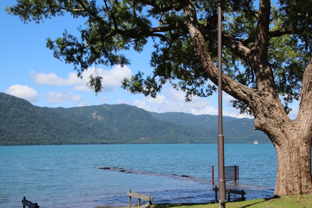 水位の高い十和田湖