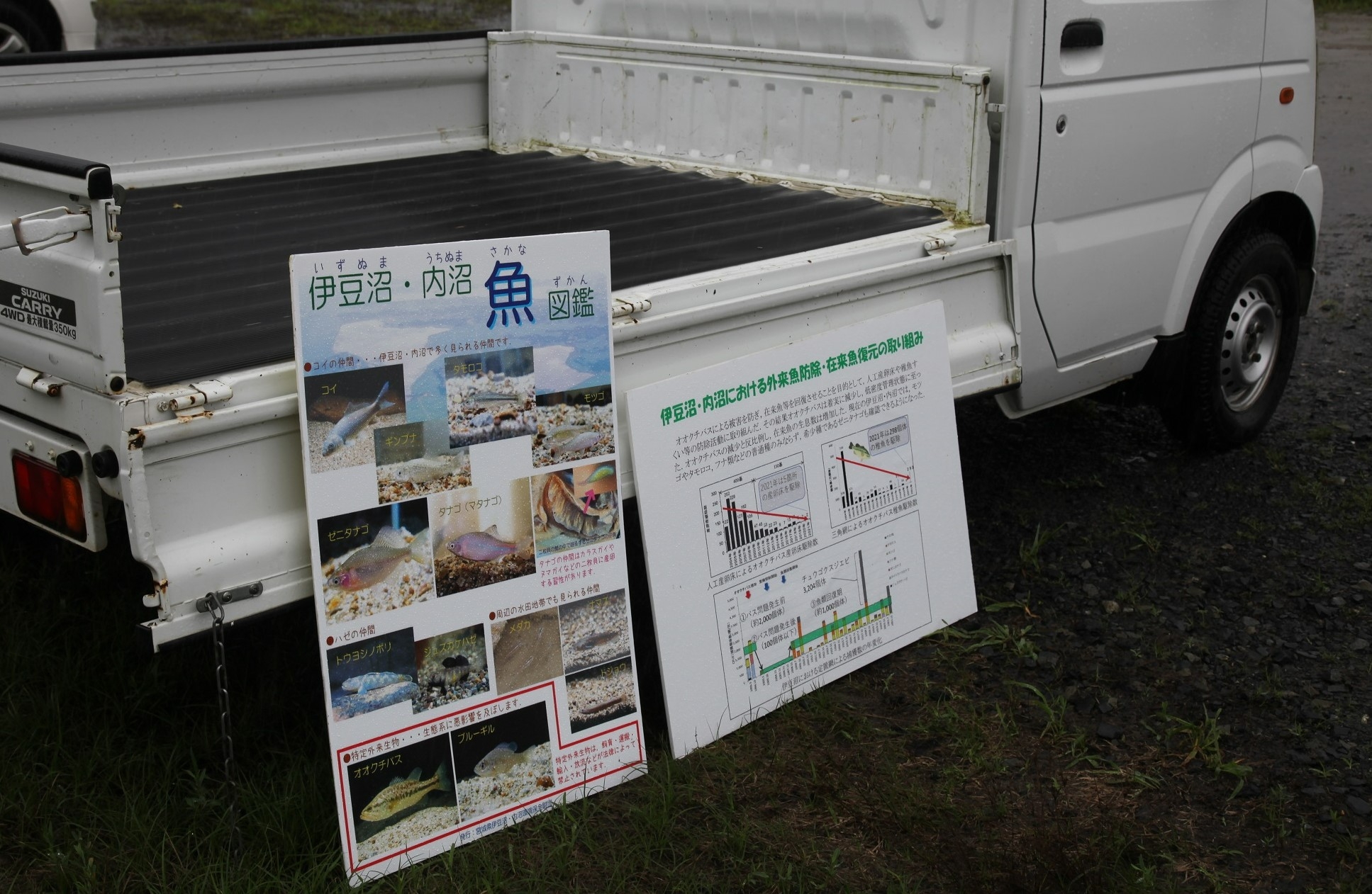 これまでの取組