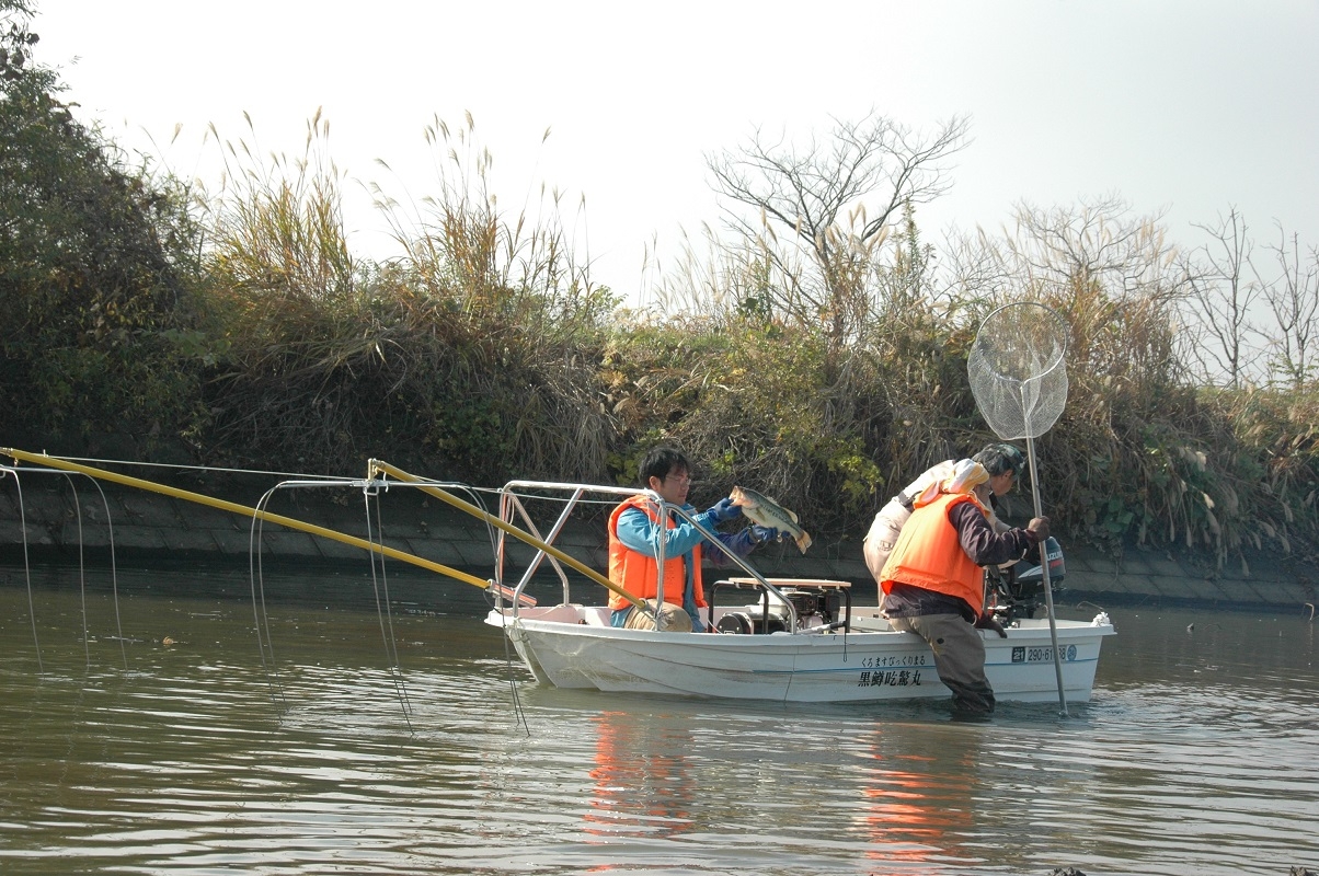 電気ショッカー