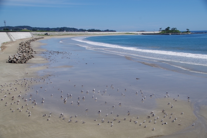 御伊勢浜と御伊勢崎