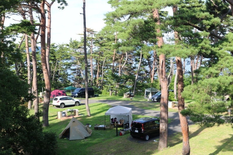にぎわうキャンプ場の様子