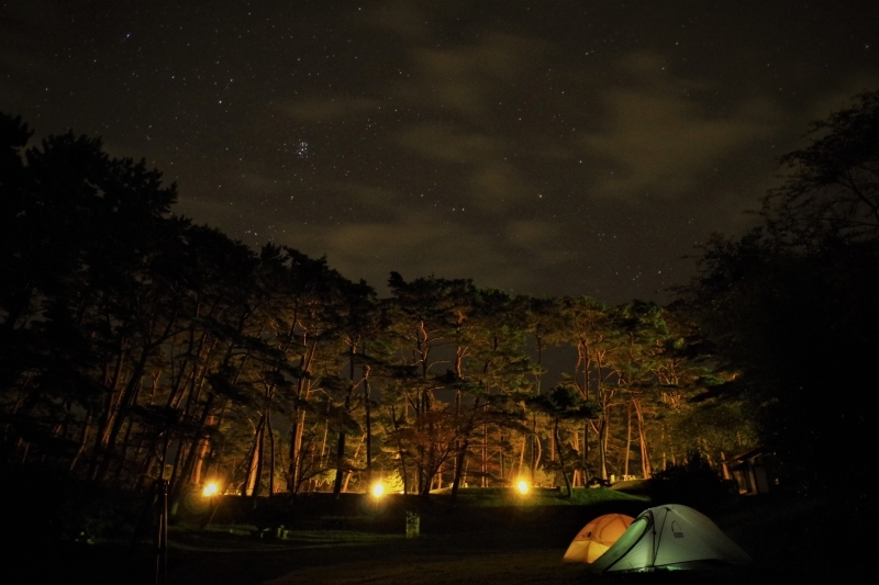 夜のフリーサイトの様子