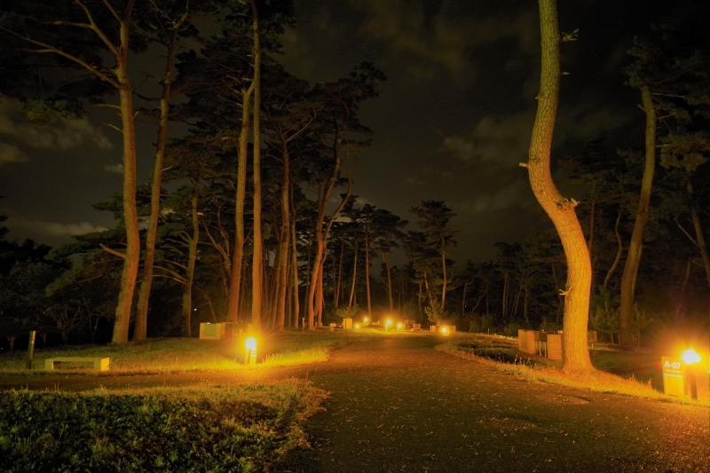 夜のオートサイトの様子