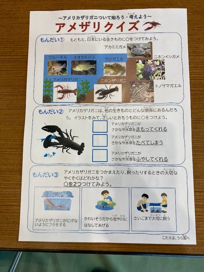 キャプション：アメザリクイズ