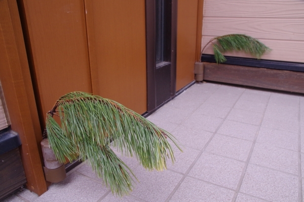 保護官宅の門松