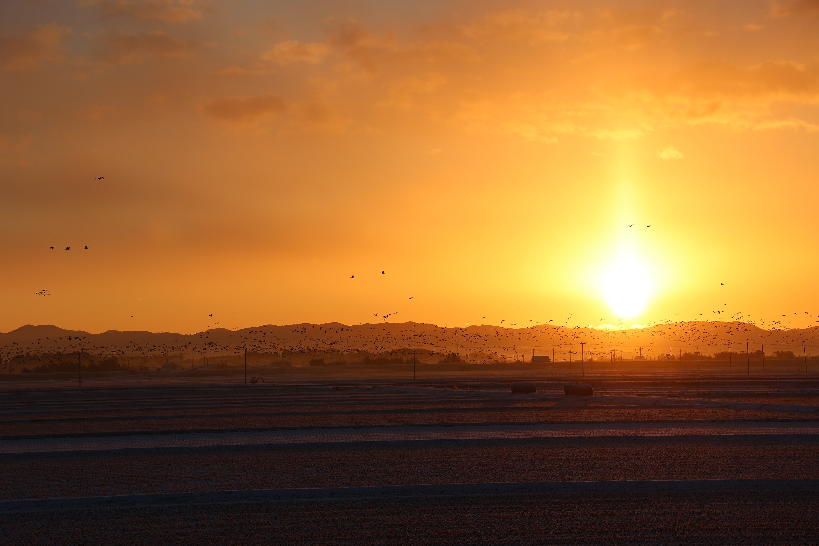 日の出を迎えた蕪栗沼・周辺水田