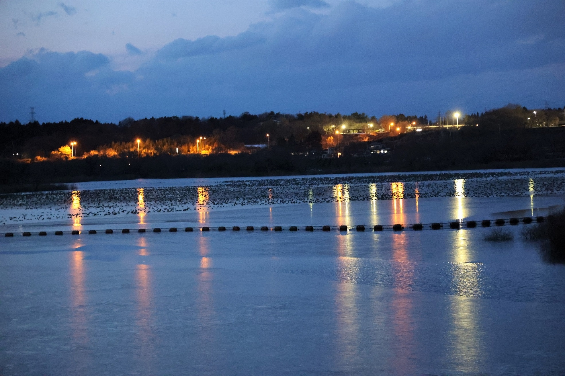 ねぐら入りが落ち着いた頃のダム提体から