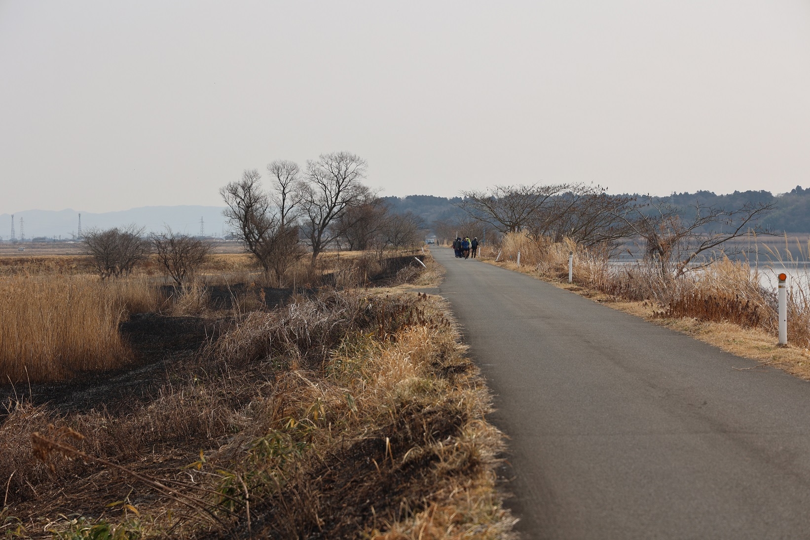 伊豆沼の堤防沿いを歩く人々