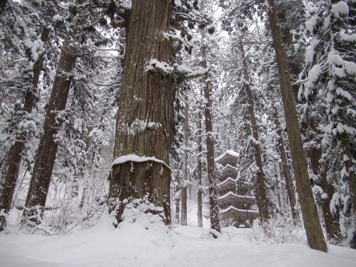 雪の羽黒山五重塔