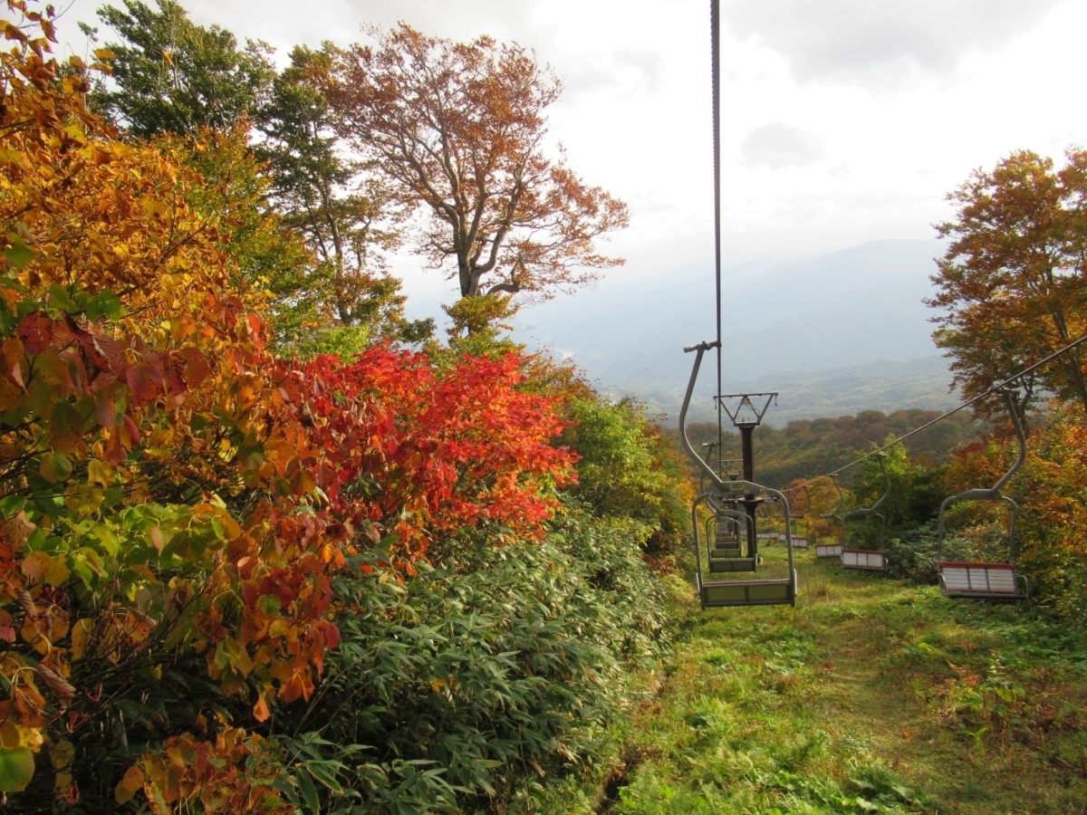 紅葉の月山リフト