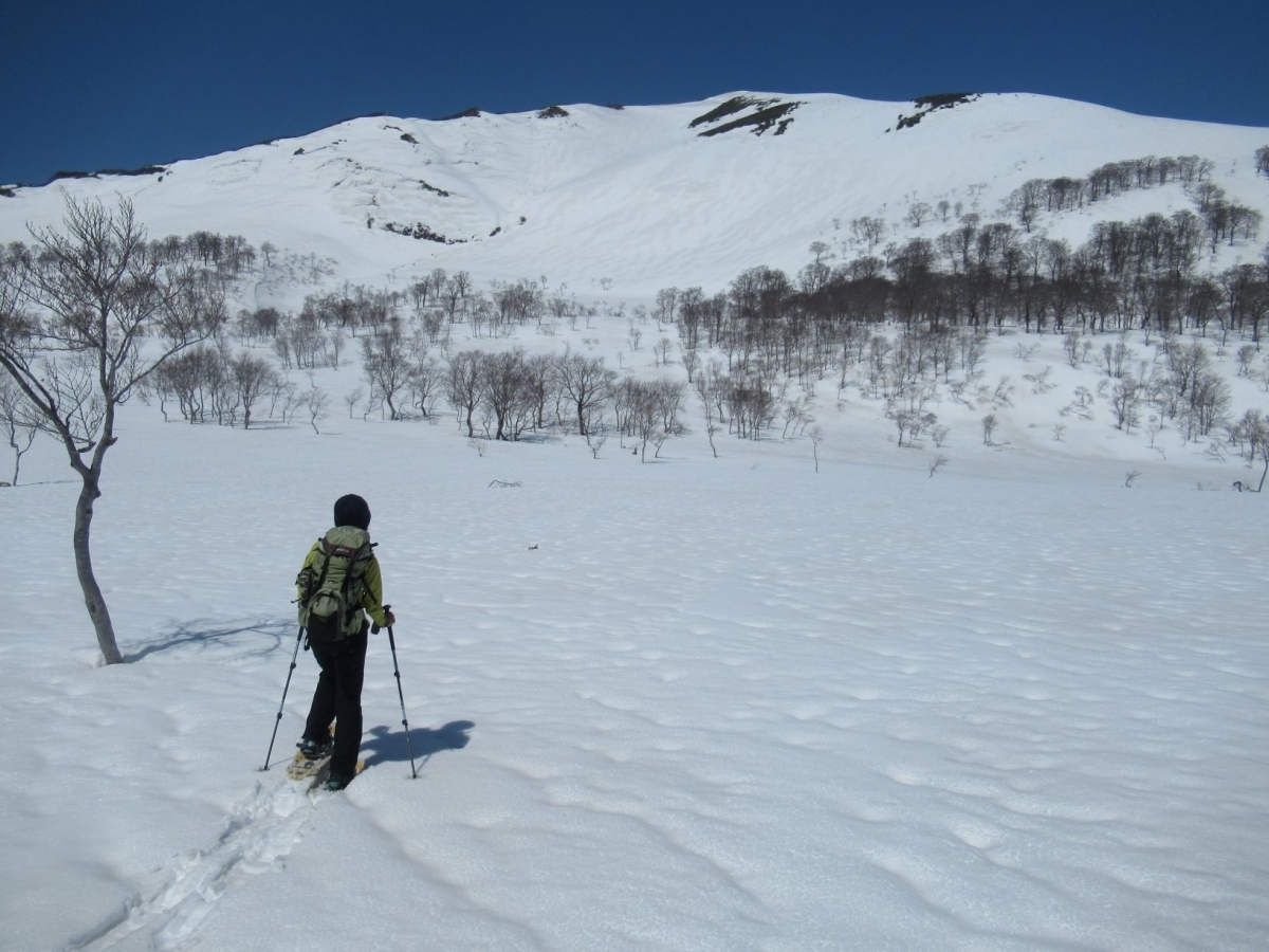 ブス沼のアクティブレンジャー