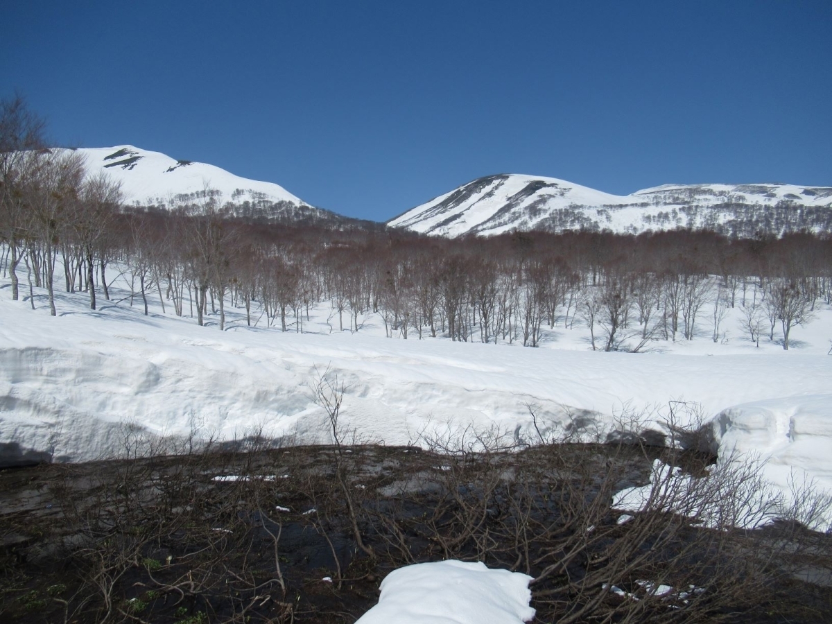 融雪が進む皮松谷地