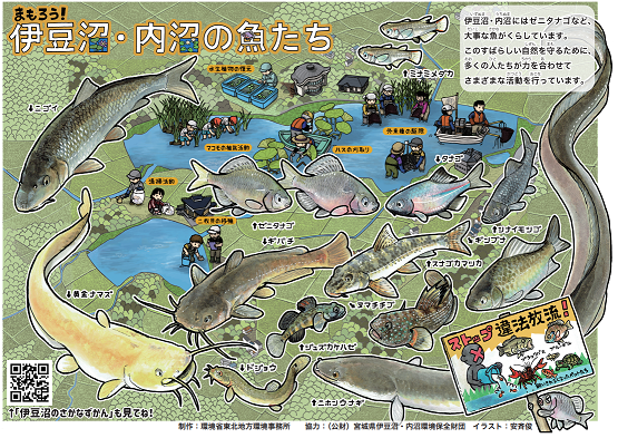 クリアファイルの画像