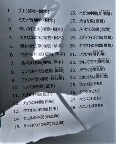 児童達が使うビンゴシートの