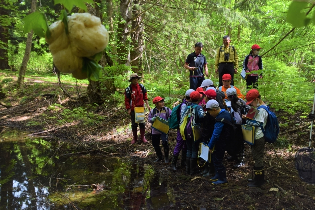 池の周りに泡状の