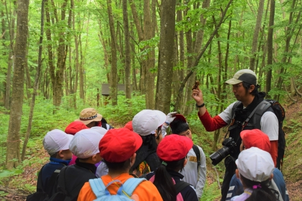 土の中に埋もれていた
