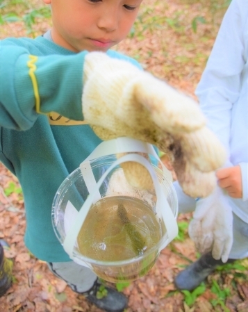 のっぽさんがビオトープで