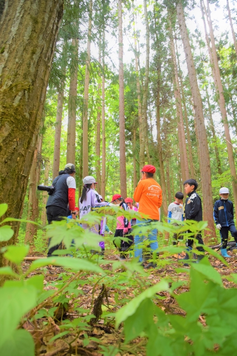 人の手が入ることで 