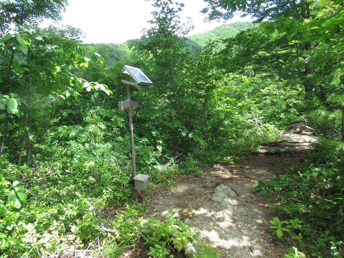 登山者カウンター