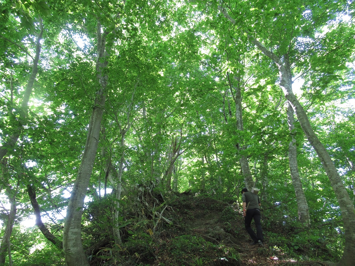 カウンター設置