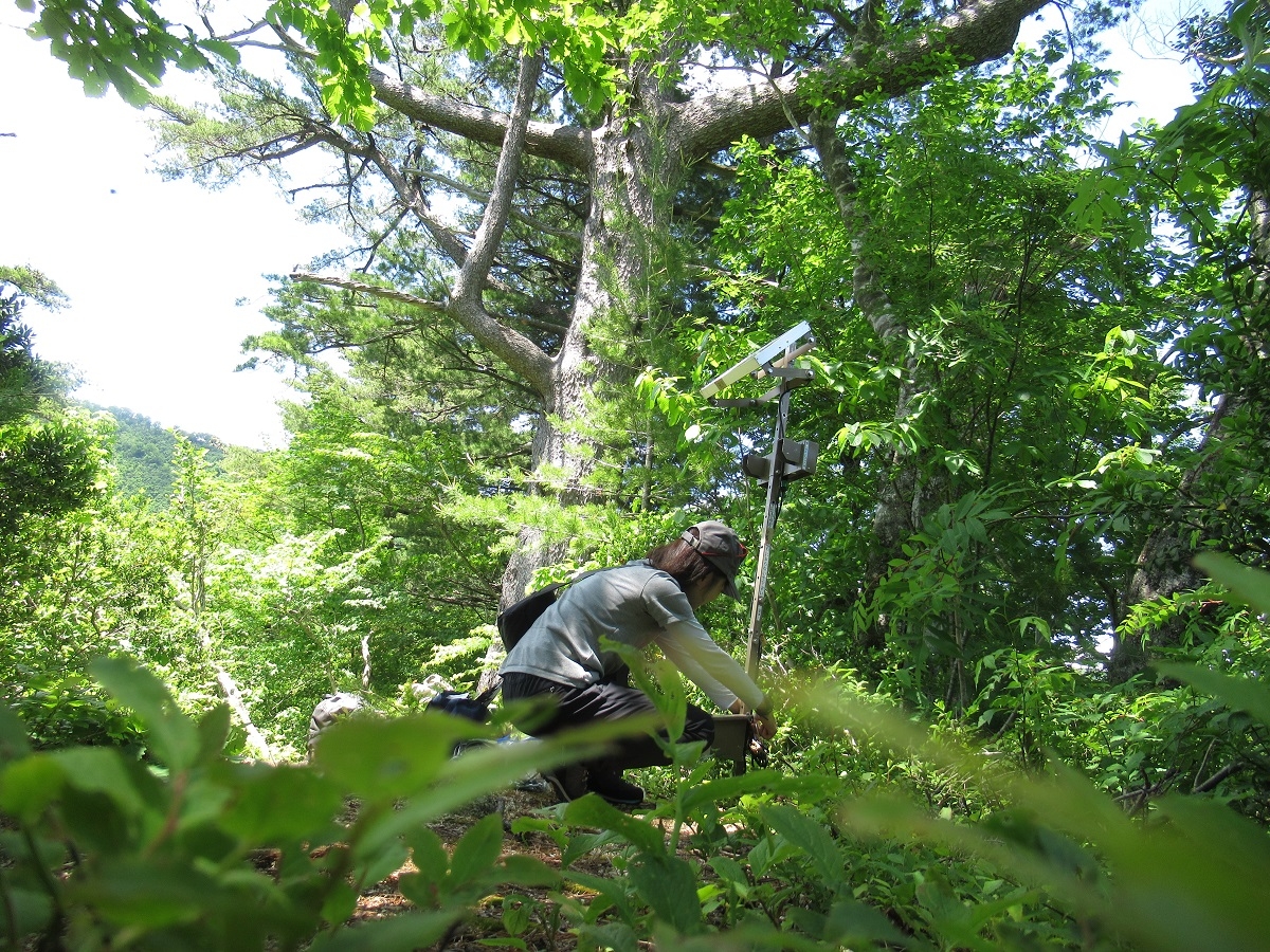 カウンター設置