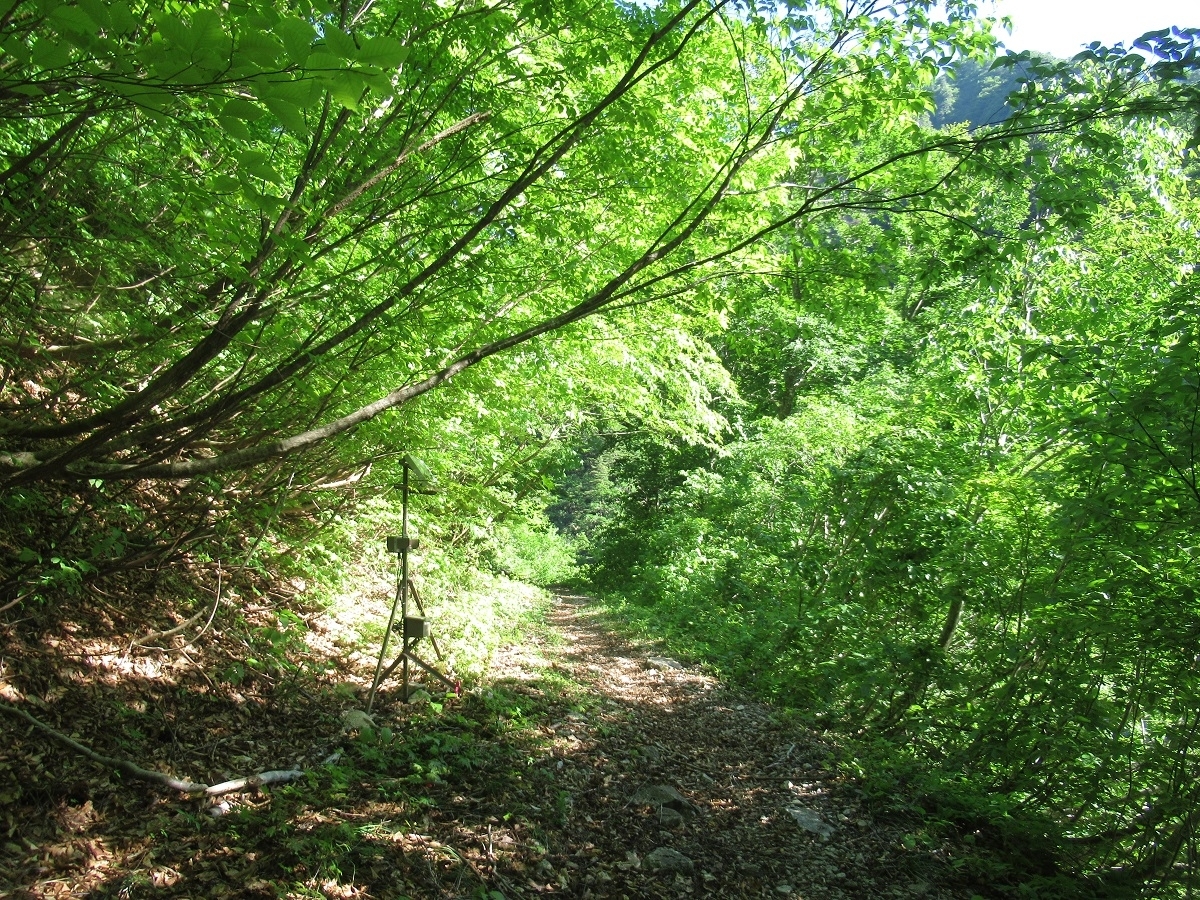 登山者カウンター