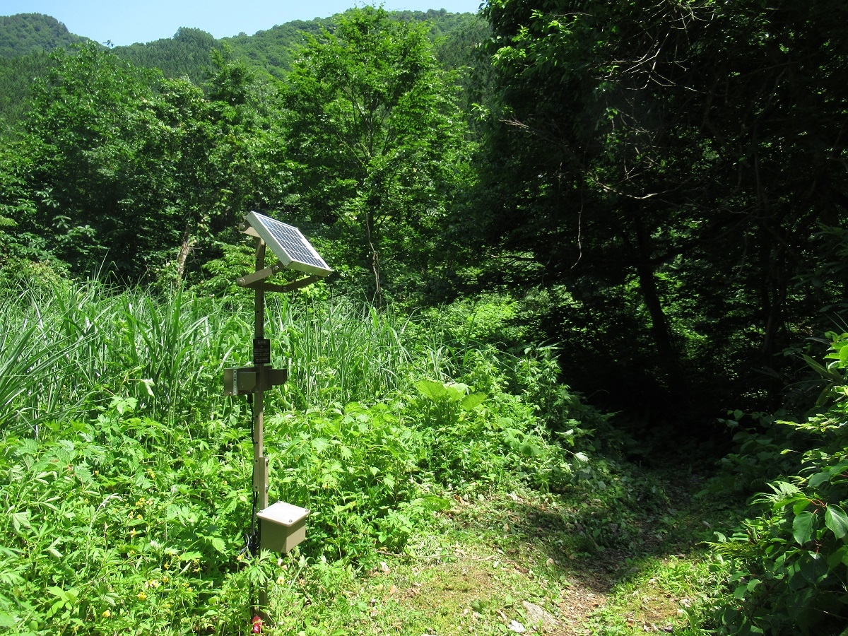 登山者カウンター