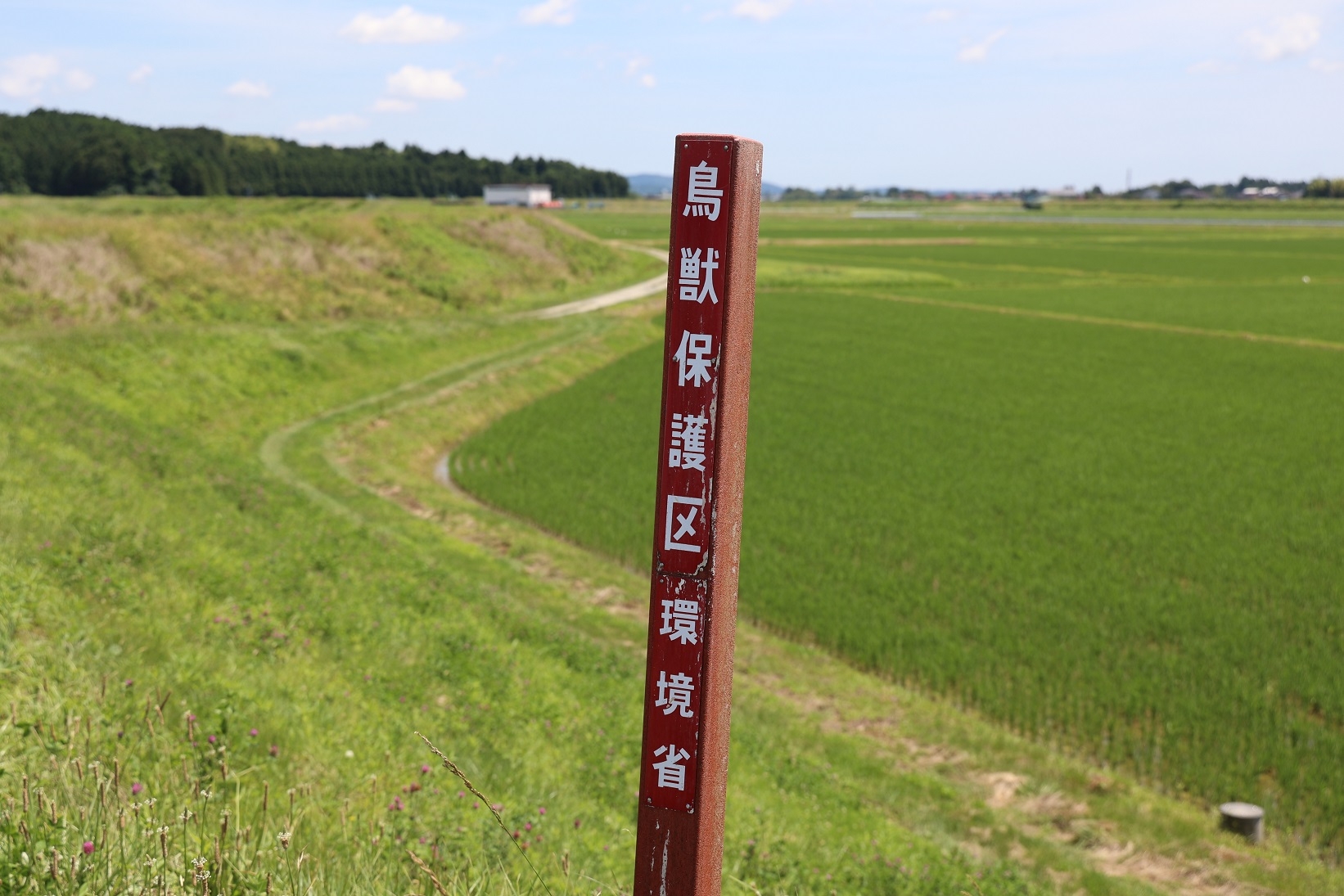 鳥の糞で汚れた制札