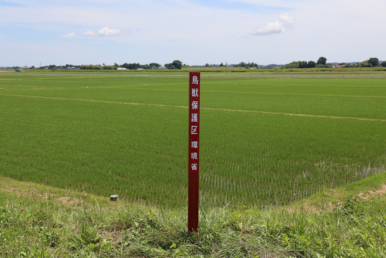 すっかりきれいになった制札