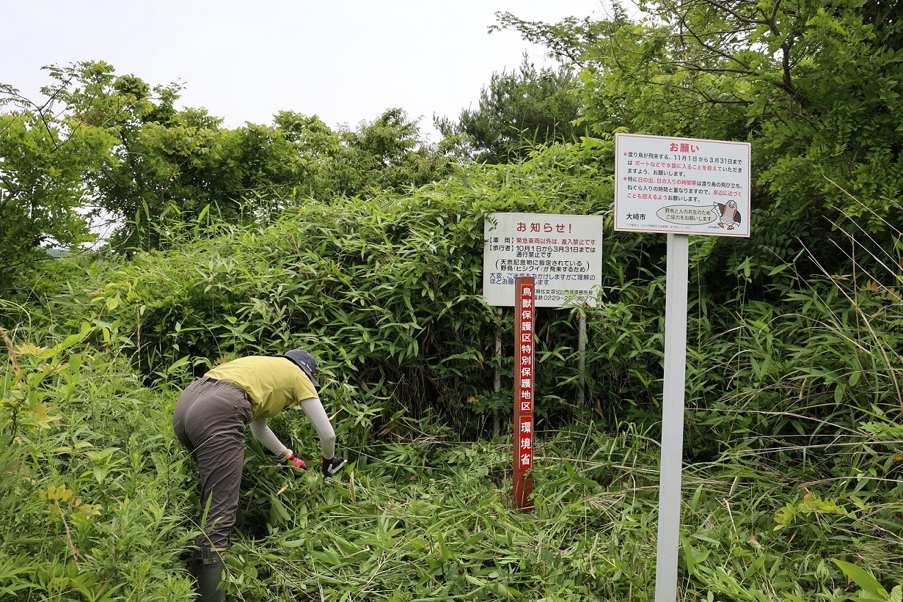 強い味方の源関専門官