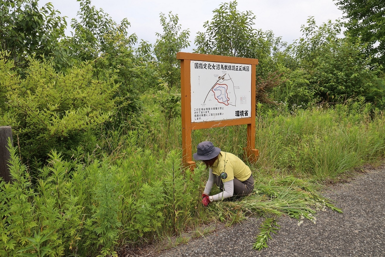 強い味方の源関専門官２
