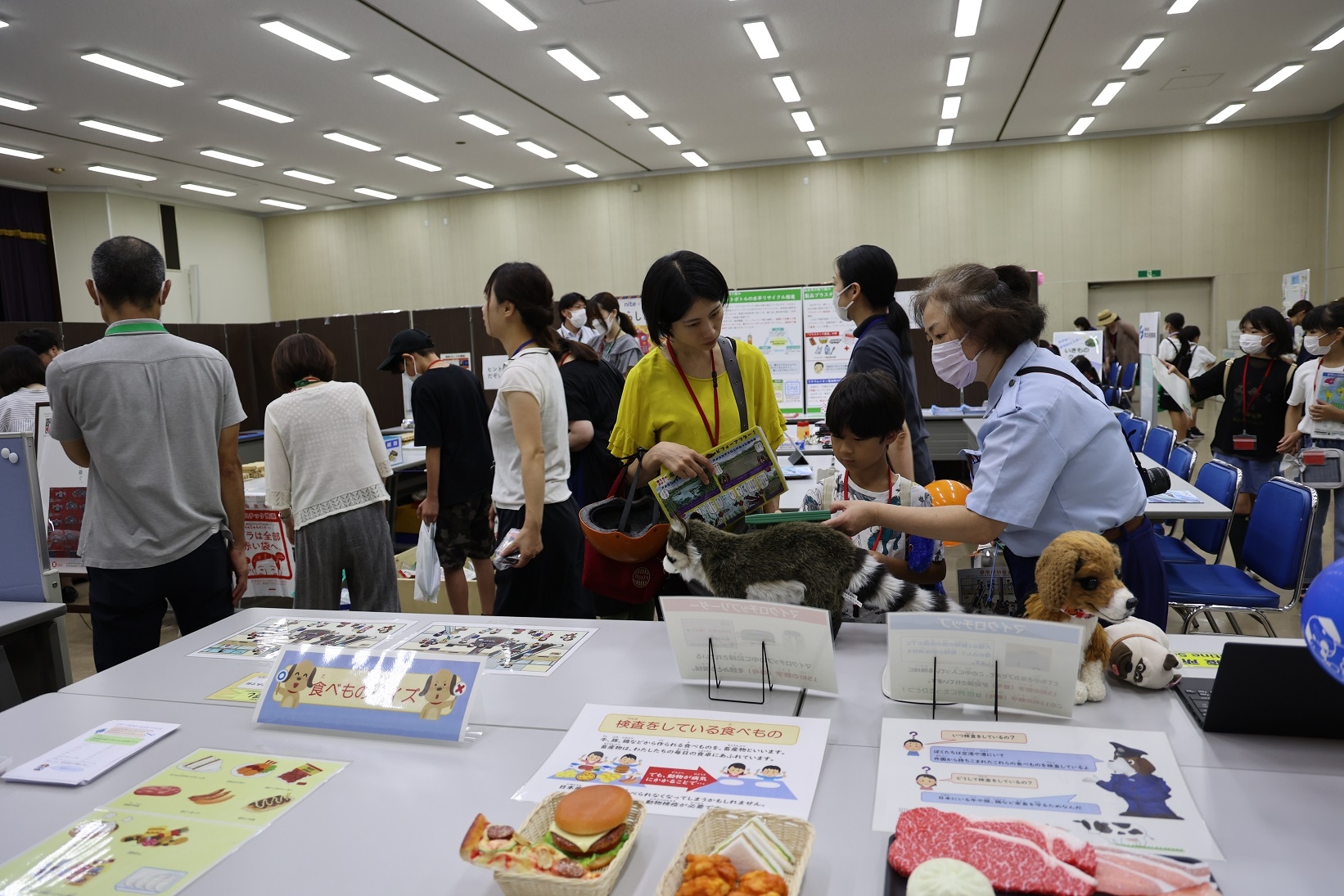 アライグマのマイクロチップ装着検査