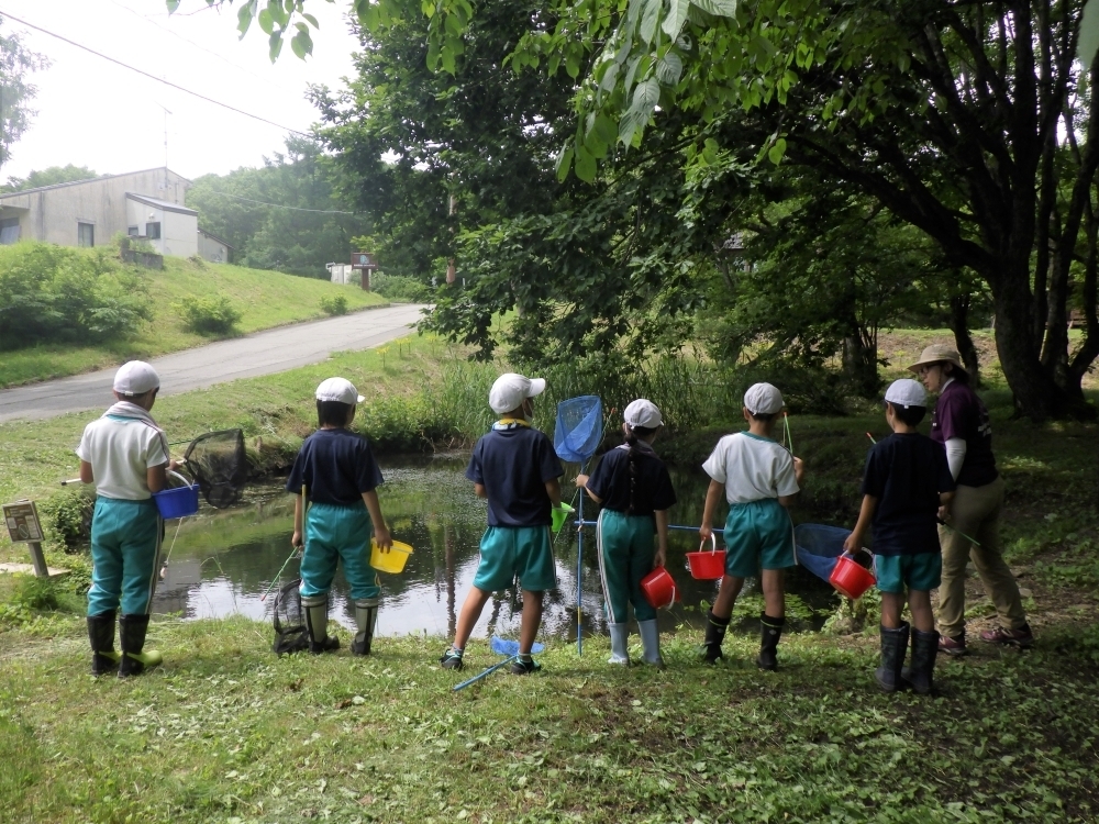 さくら小学校自然体験教室の様子
