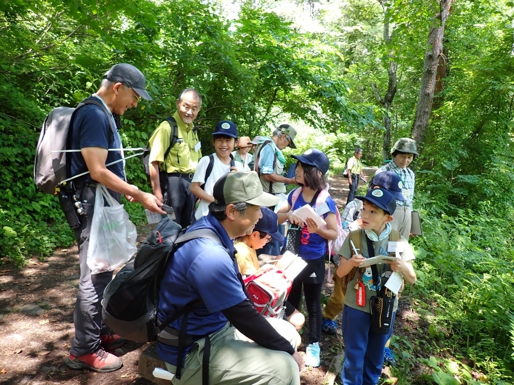 子どもパークレンジャーの様子
