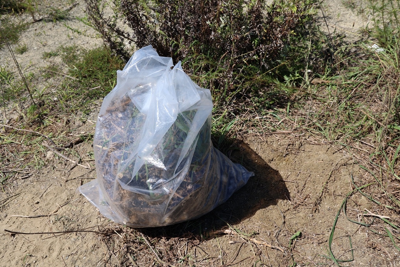 ギュッと袋に鬼を詰め込みました