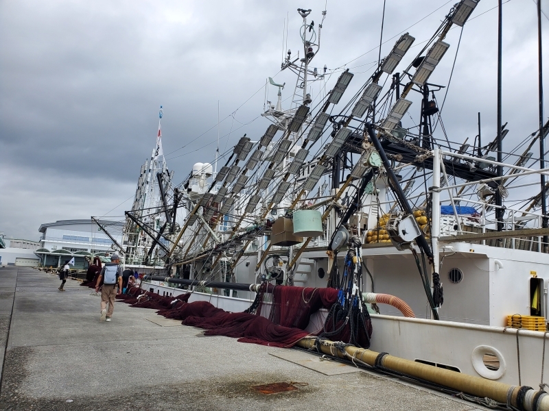 サンマ船のすぐ脇を歩く