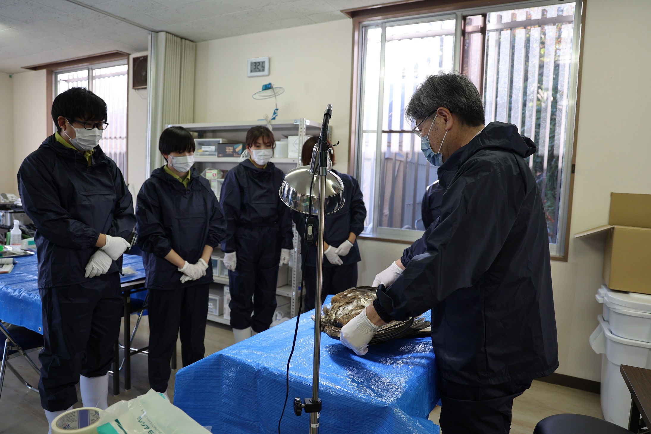 伊豆沼鳥獣保護区管理センターでの研修会の様子