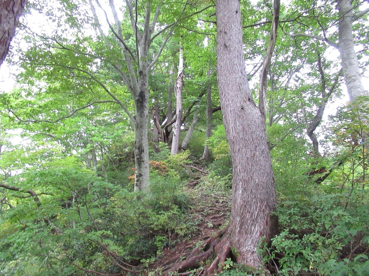 足ノ松尾根の急登